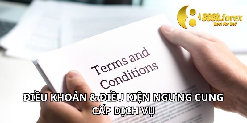 Điều khoản và điều kiện \ ngưng cung cấp dịch vụ