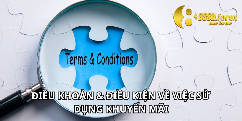 Điều khoản và điều kiện đối với việc sử dụng khuyến mãi