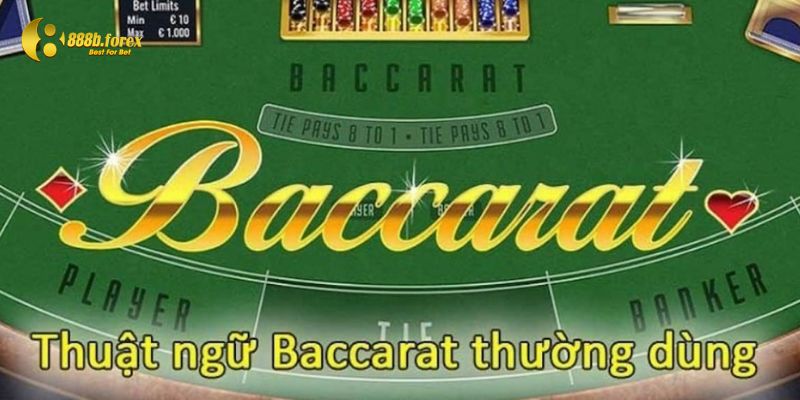 Các thuật ngữ thông dụng trong baccarat